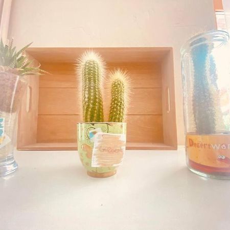 Cocon Familial Apartment Laon Ngoại thất bức ảnh